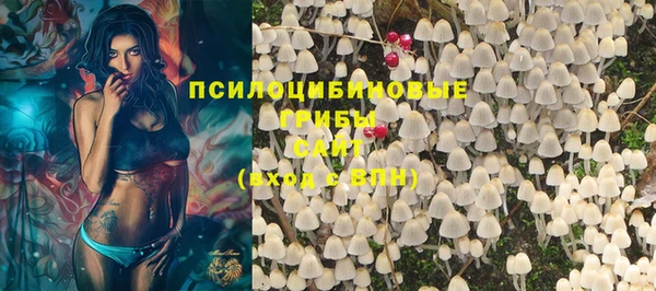 дмт Богданович