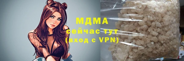 дмт Богданович