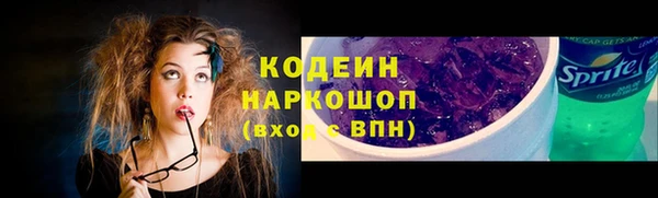 дмт Богданович