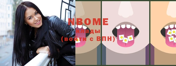 дмт Богданович