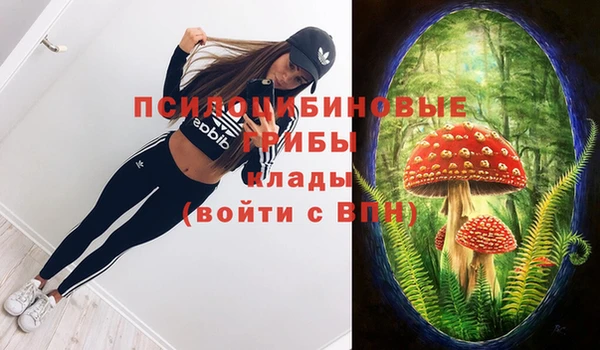 мяу мяу кристалл Богородицк