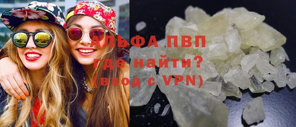 дмт Богданович