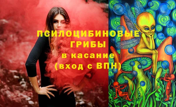 дмт Богданович