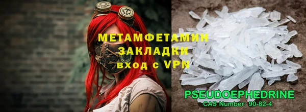 дмт Богданович