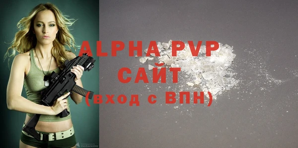 дмт Богданович