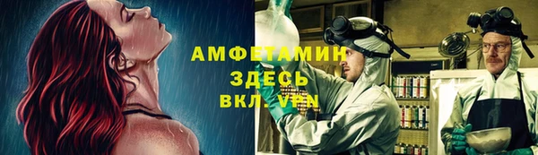 дмт Богданович