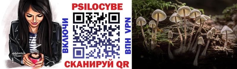 Галлюциногенные грибы ЛСД  наркошоп  Шилка 